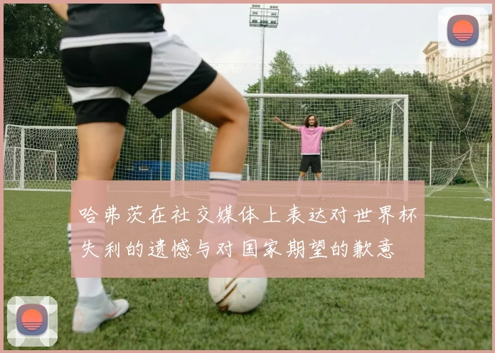 哈弗茨在社交媒体上表达对世界杯失利的遗憾与对国家期望的歉意
